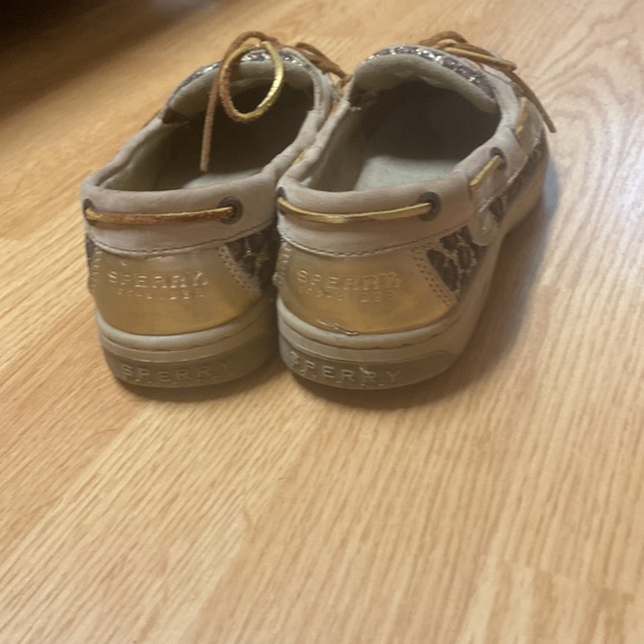 Leopard Sperry Angelfish - Picture 2 of 4